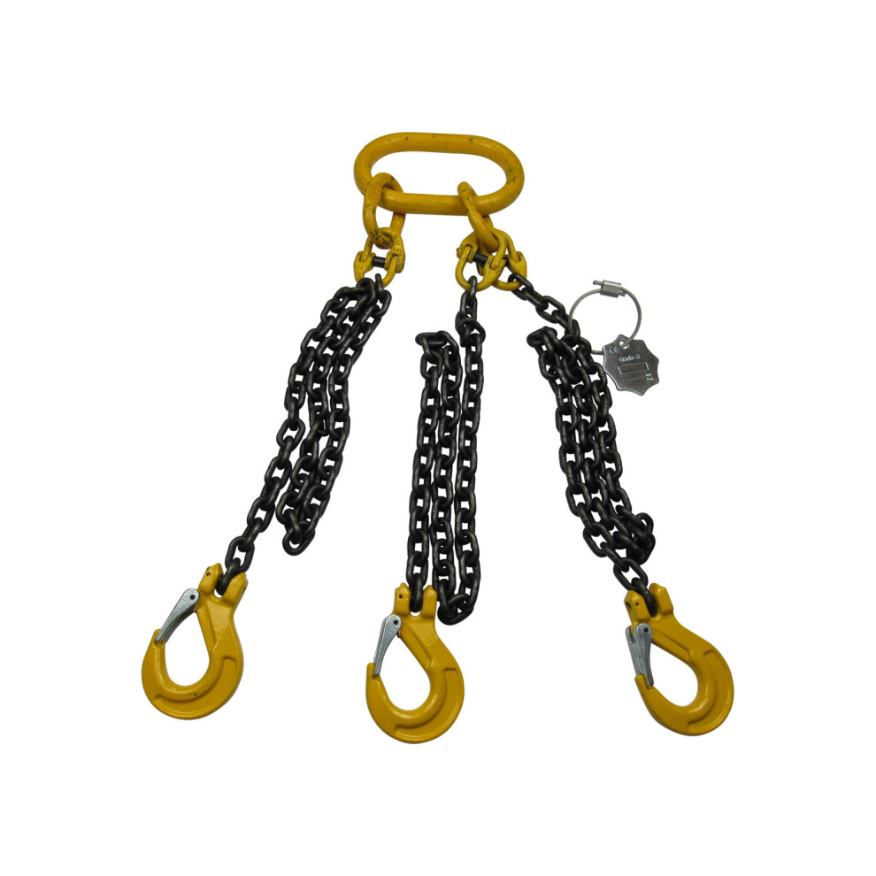 (3.15T @ 0-45Â° / 2.2T @ 45-60Â°, 4 Metre) G80 Lifting Chain Slings 3 Leg 600988534025
