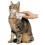 Electronic Electric Flea Zapper Comb Epilady Safe Cat Dog Kills Fleas 2