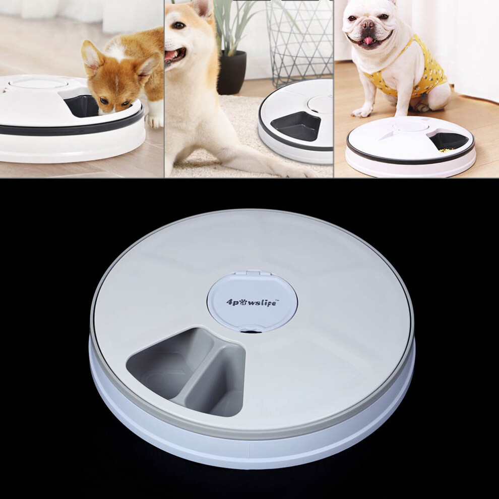 Automatic 6 Day Meal Timed Pet Dog Cat Feeder Food Bowl Auto Dispenser Grey