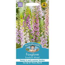 Mr Fothergills - Pictorial Packet - Flower - Foxglove Excelsior Mixed - 2500 Seeds