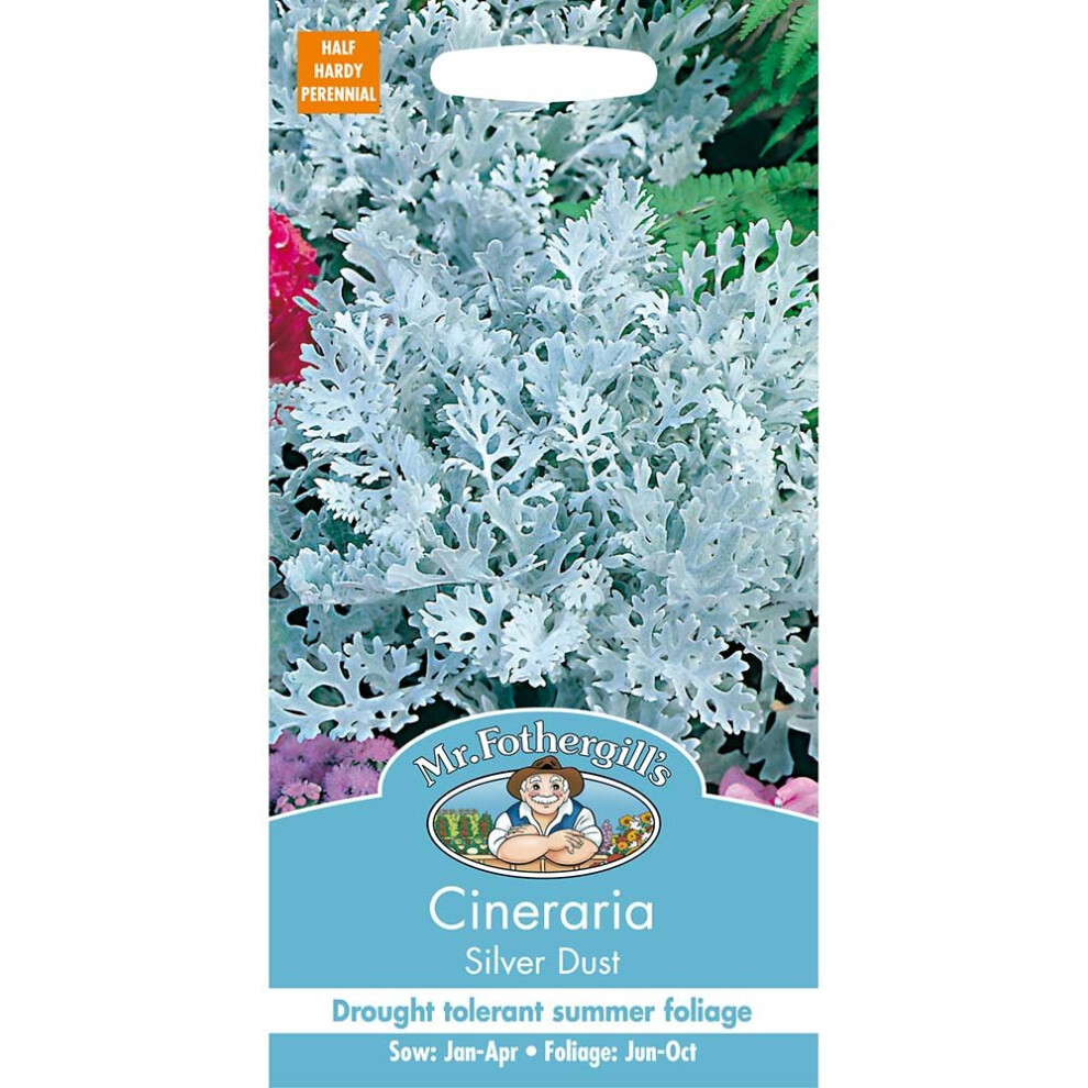 Mr Fothergill's - Pictorial Packet - Flower - Cineraria - Silver Dust - 200 Seeds