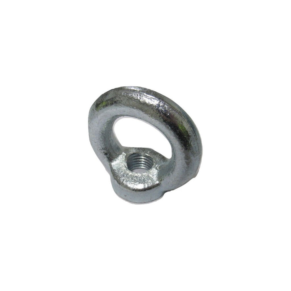 (M24, Zinc Plated) Lifting Eye Nut Din582 - M6 - M64 600988534803