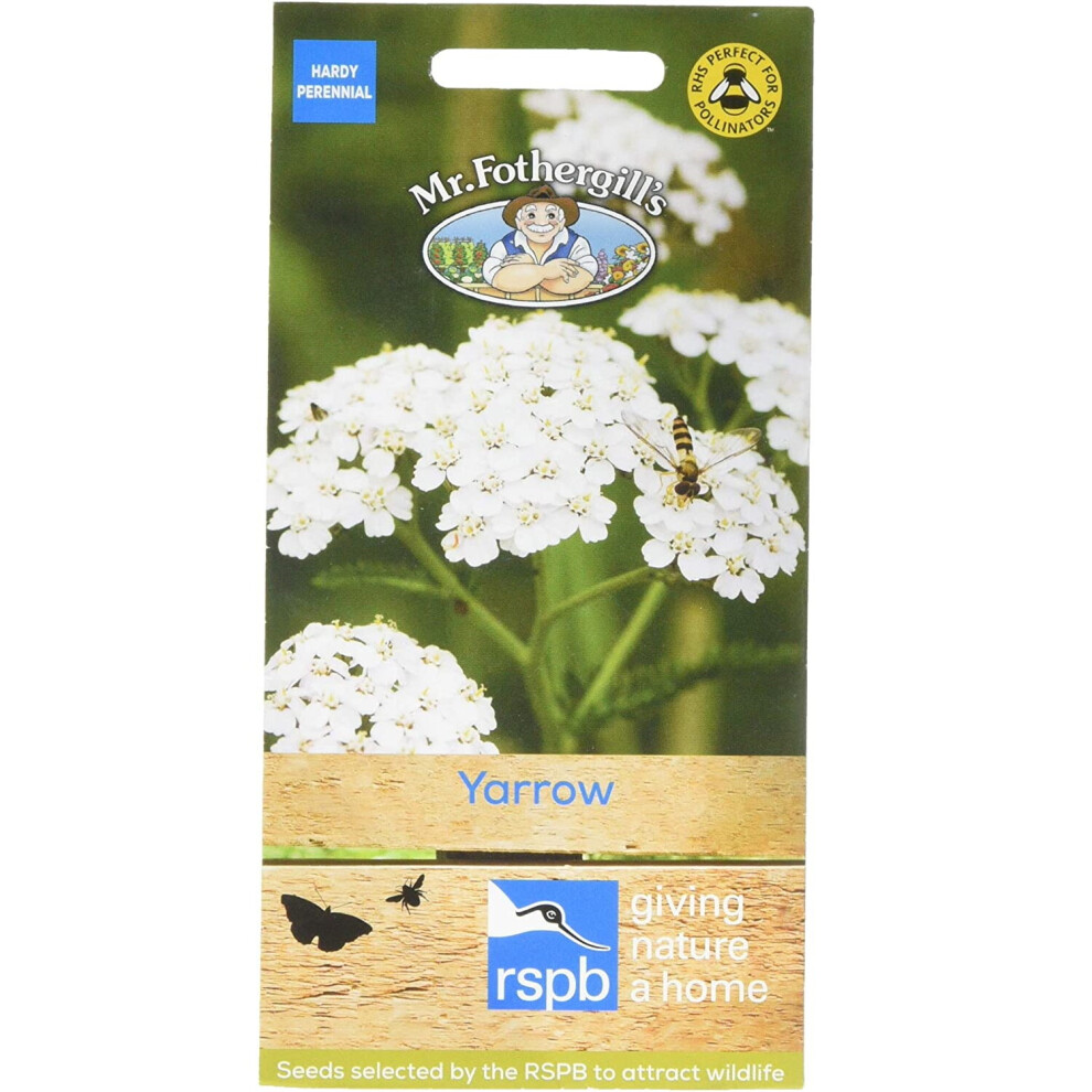 Mr Fothergills Pretty Garden Wildflowers Aromatic Yarrow Seeds