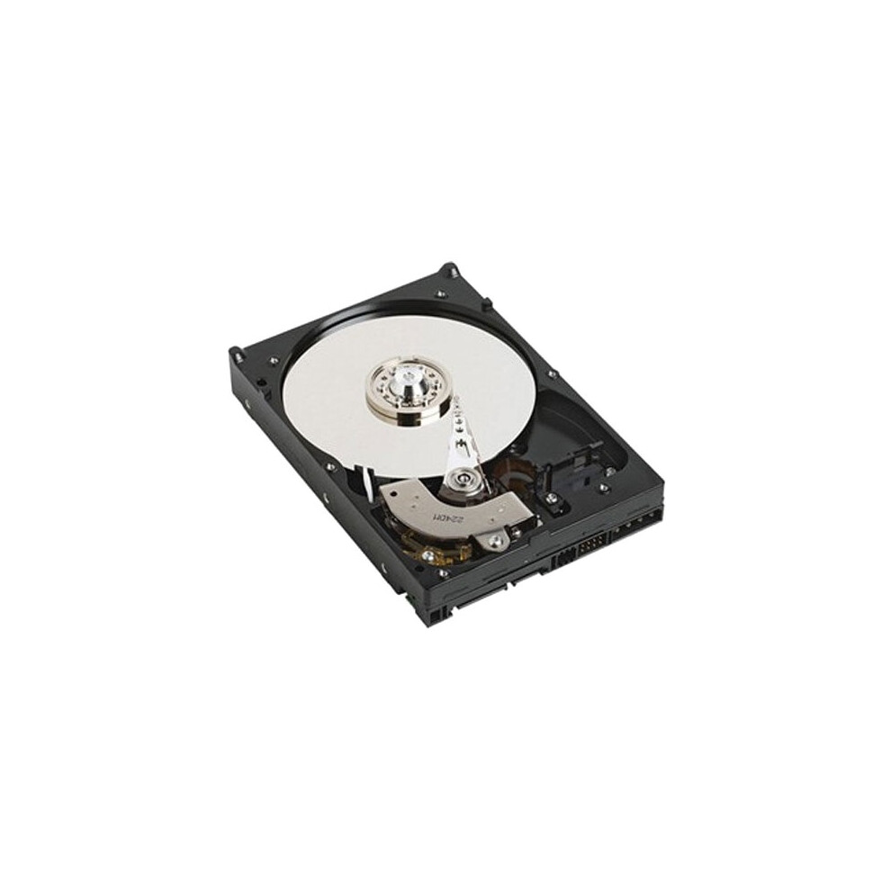 DELL NPOS - to be sold with Server only - 1TB 7.2K RPM SATA 6Gbps 512n 3.5in Cabled Hard Drive