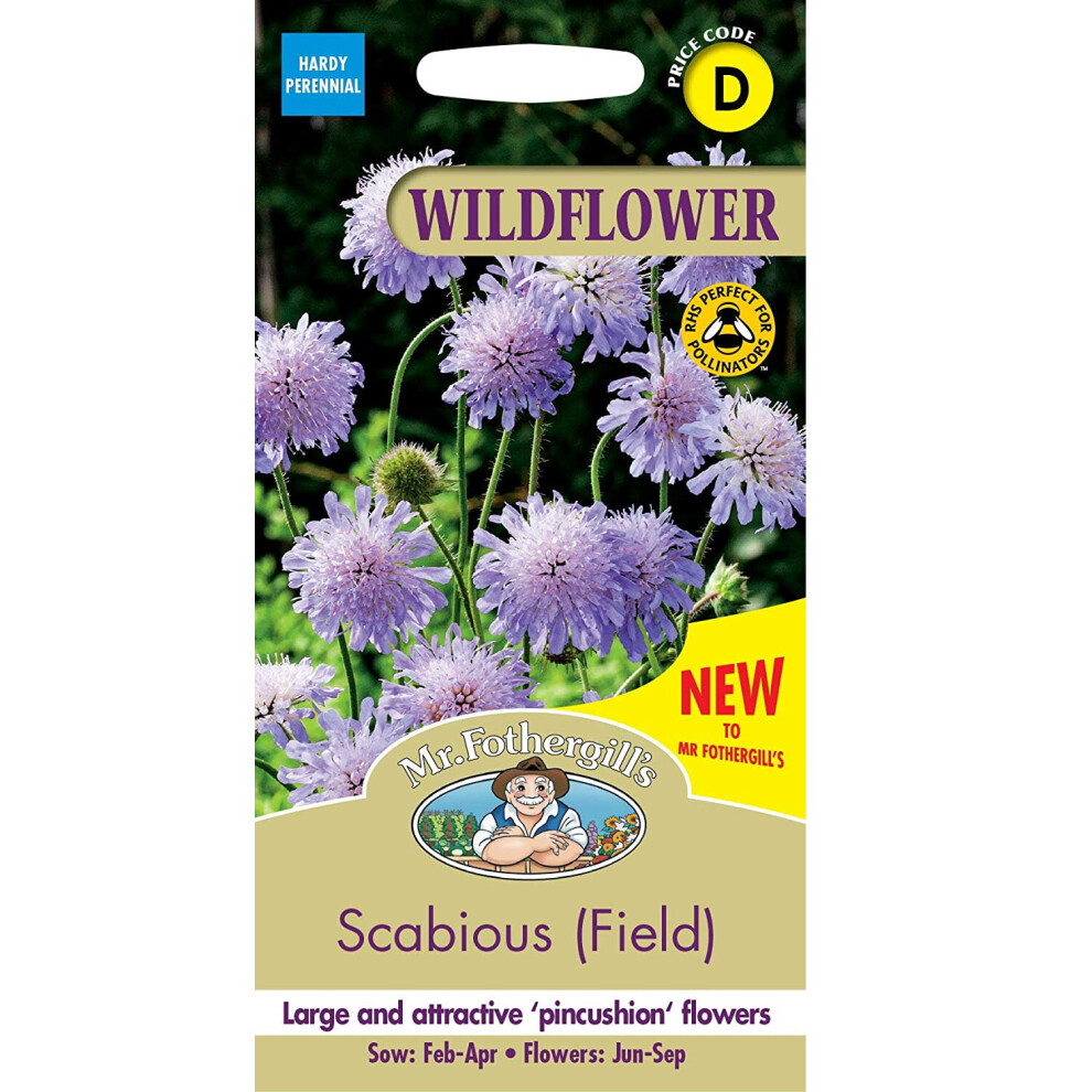 Mr Fothergills Pretty Garden Wildflower Scabious (Field) Seeds