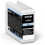 Epson EPSON Tintenpatrone Singlepack Hellcyan T46S5 UltraC - Packung mit 1 1