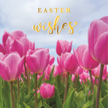 Easter Wishes Tulip Field Photographic Easter Greeting Card Second Nature