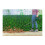 McGregor McGregor MCBL24 Cordless Garden Blower - 24V 4