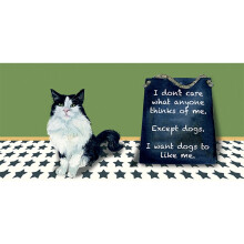 Cat I Want Dogs To Like Me Little Dog Laughed Greeting Card Blank Inside