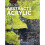 Expressive Abstracts in Acrylic | Paperback 1