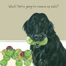 Remove My Balls Little Dog Laughed Greeting Card Blank Inside