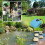 Solar Powered Oxygenator Pond Water Oxygen Pump Air Pump Aerator Fish 2