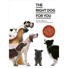 The Right Dog for You | Paperback