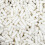 (5000 Capsules) White Empty Capsules Gelatine Pharmaceutical  Caps 1