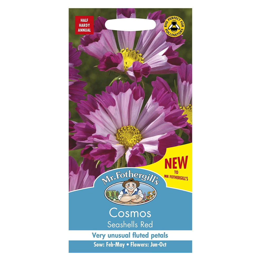 Mr Fothergills Flower Seeds Cosmos Seashells Petal Deep Pink