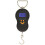 Angling pursuits Electronic scales 2