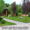 (15L) Homefront Patio & Driveway Cleaner Moss Killer 5