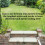 (10L) Homefront Patio & Driveway Cleaner Moss Killer 4