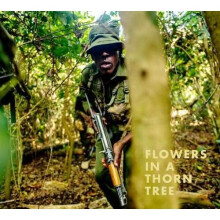Steven Thackston: Flowers in a Thorn Tree | Hardback
