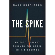 The Spike – An Epic Journey Through the Brain in 2.1 Seconds