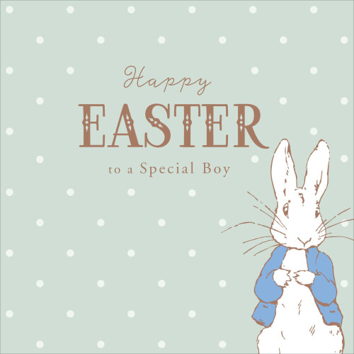 Peter Rabbit Special Boy Happy Easter Greeting Card Happy Easter Greetings Cards