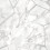 Fine Decor Fine Decor Marblesque Fractal Silver Wallpaper FD42263 1