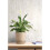 Holden Decor Urban Loft Texture Pearl Wallpaper 12930 5