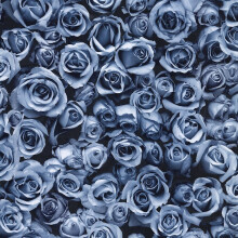 Muriva Rosalee Blue Wallpaper 158504