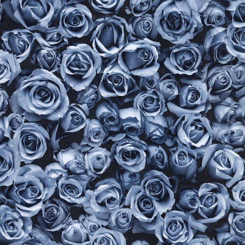 Muriva Muriva Rosalee Blue Wallpaper 158504