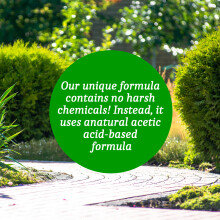 (15L) Homefront Organic Path and Patio Cleaner