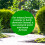 (15L) Homefront Organic Path and Patio Cleaner 1