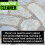 (10L) Ultima Organic Path and Patio Cleaner Moss Killer 1