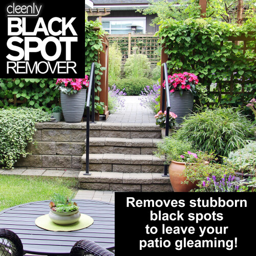 (10L) Cleenly Black Spot Remover 1
