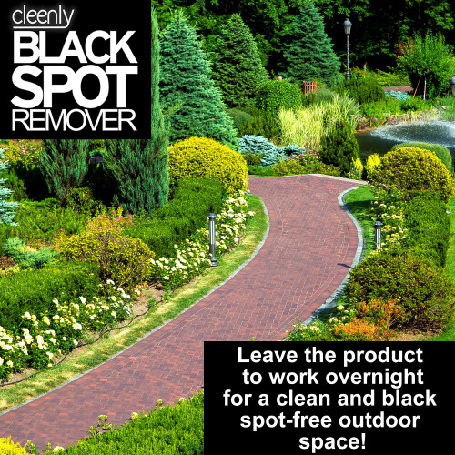 (10L) Cleenly Black Spot Remover 2