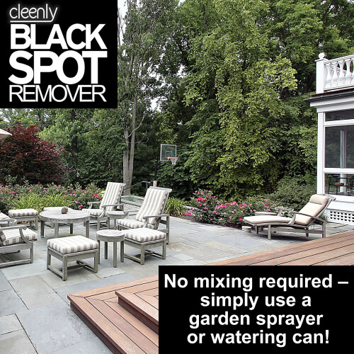 (20L) Cleenly Black Spot Remover 2