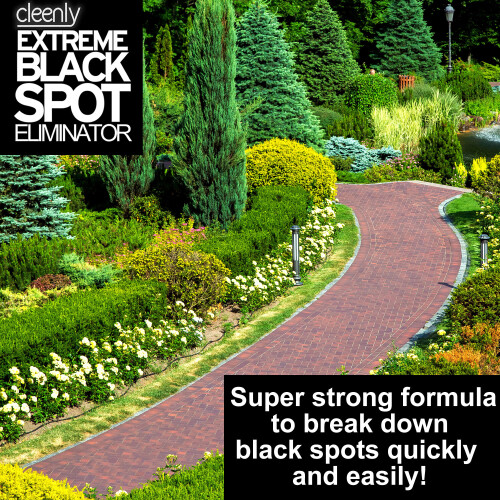 (5L) Cleenly Extreme Black Spot Eliminator 2