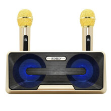 SD301 Wireless Microphone Stereo Portable Mobile Phone Bluetooth Speaker Removable KTV Wireless Surround Sound Subwoofer Speakers Karaoke Boombox Gold
