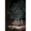 Witches Vanish | Paperback 1