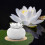 Keramik Lotus Luftreiniger Luftbefeuchter Aromaöl Diffusor 200ml UK 4