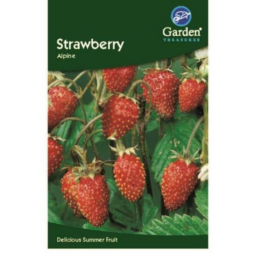 Strawberry Alpine Seeds Fruit Seed Garden Treasure