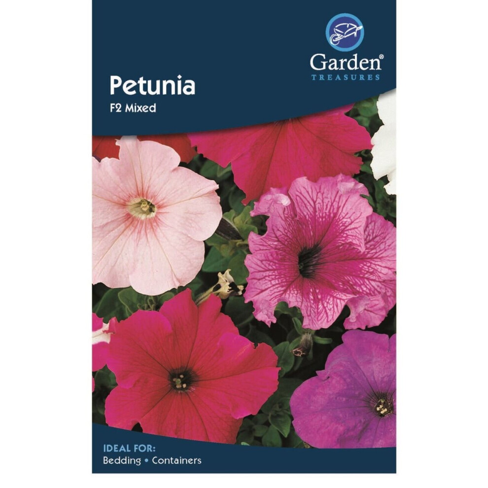 Petunia Seeds Mixed Flowers Garden Treasure 990 Seeds