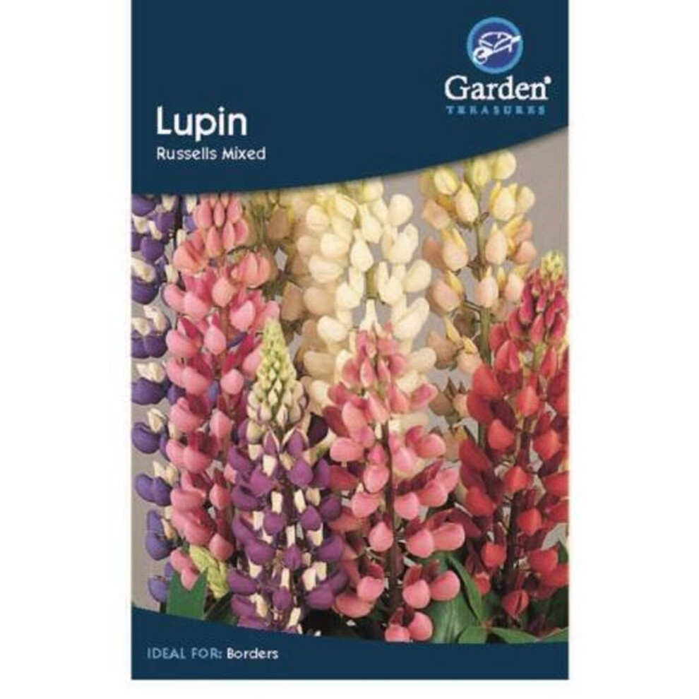 Lupin Flower Seeds Garden Treasure 45 Seeds