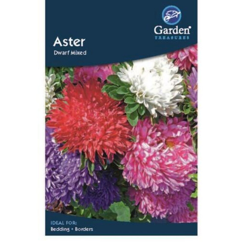 Aster Dwarf Mixed Flower Seeds Garden Treasure 225 Seeds