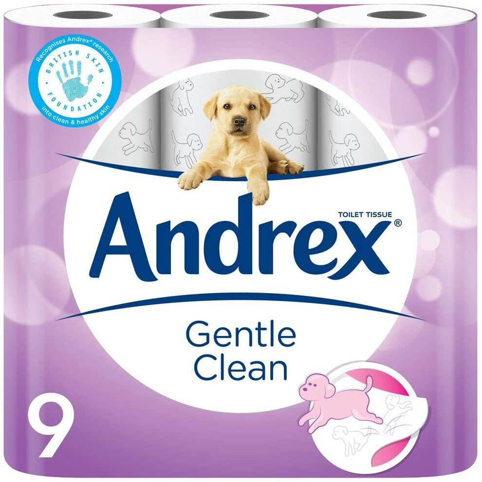 45pk Andrex Gentle Clean Toilet Tissue