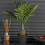 URBN Living (Feather Leaf, 1) Artificial Palm Tree Plant Home Office Decoration 1