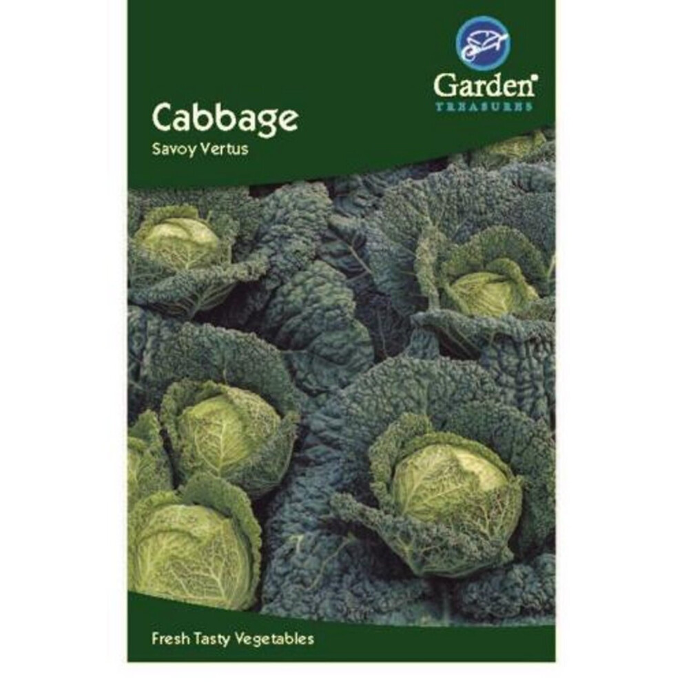 Savoy Cabbage Seeds Vegetable Garden 50 Seeds