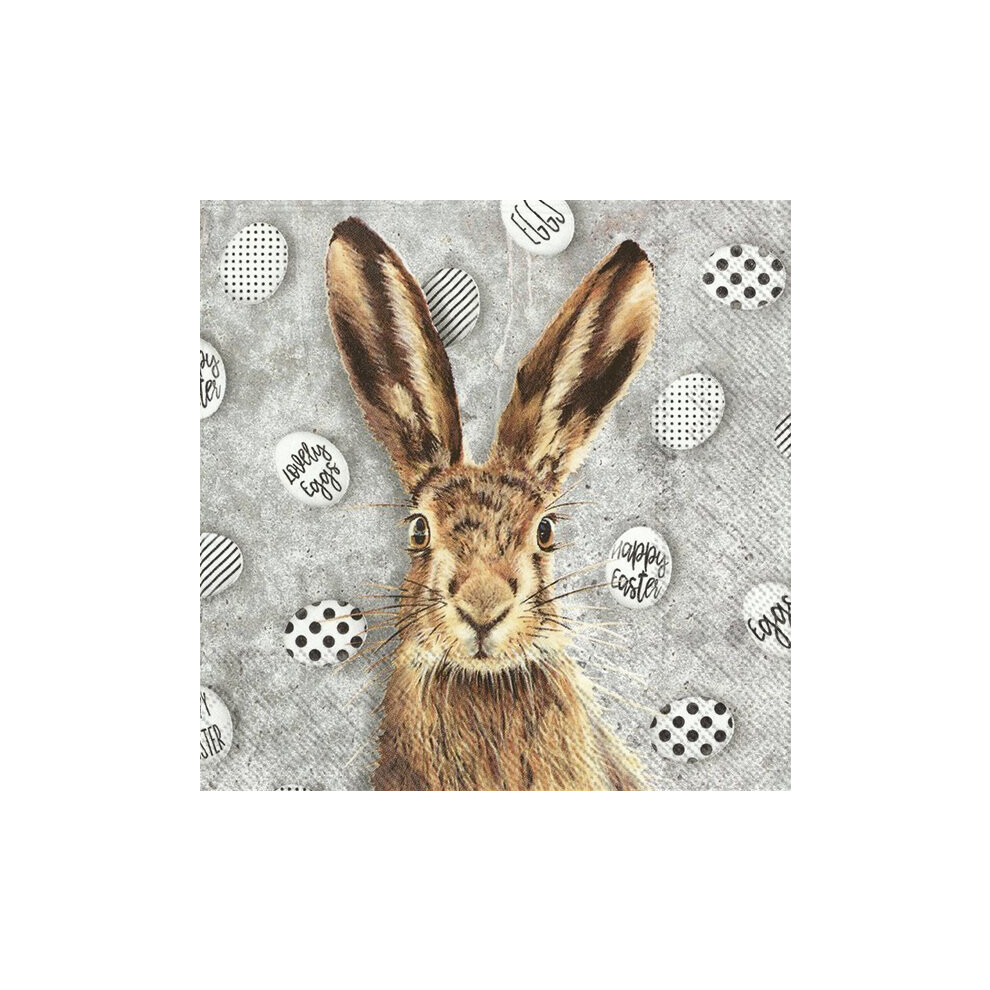 Ihr (Cocktail) Easter Eggs Oh My Rabbit Paper Party Napkins