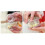 Simply Garlic Twist Crusher Presser Multifunctional Durable 3