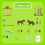 Schleich Schleich Farm World Pony Agility Training Playset 2