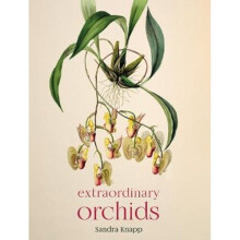 Extraordinary Orchids | Hardback